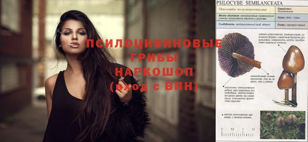 ECSTASY Навашино