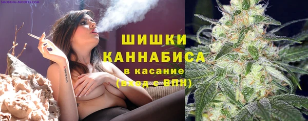 ECSTASY Навашино