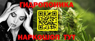 мдпв Гусев