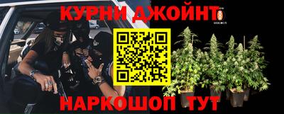 мдпв Гусев