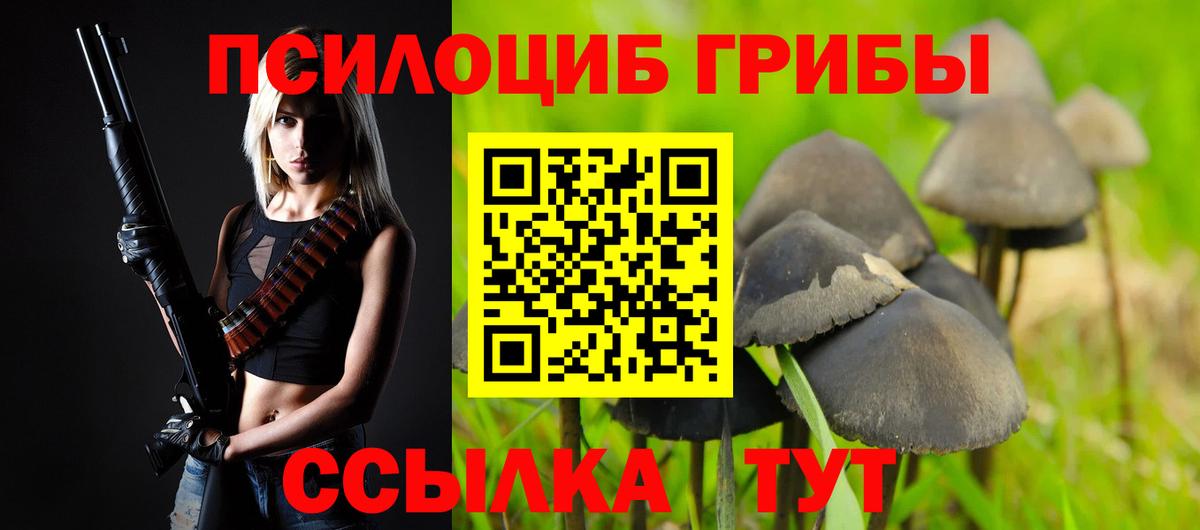 Псилоцибиновые грибы MAGIC MUSHROOMS  Вход с VPN  Нарткала  Псилоцибиновые грибы мицелий 
