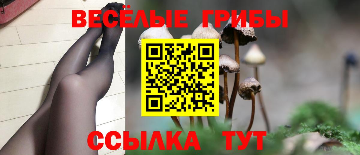 Галлюциногенные грибы Psilocybe Нарткала